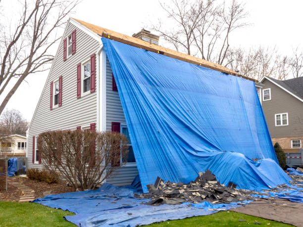Best Dumpster Rental Services  in Roselawn, IN