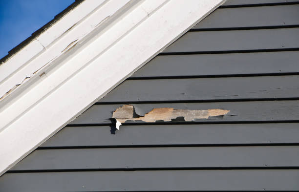 Best Property Management Cleanouts  in Roselawn, IN