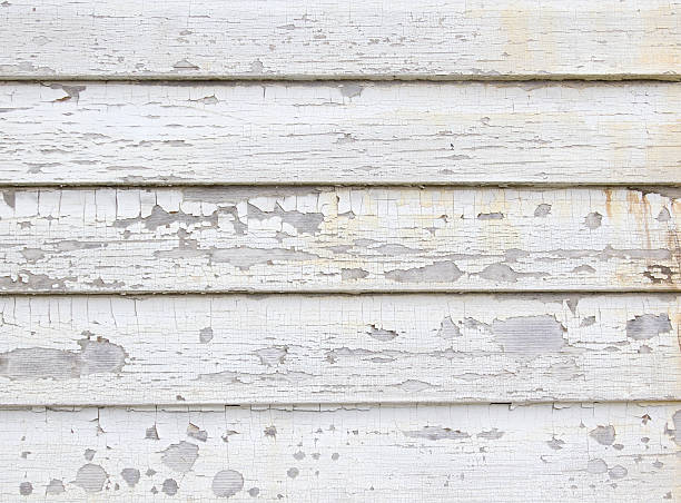 Best Construction Debris Removal  in Roselawn, IN